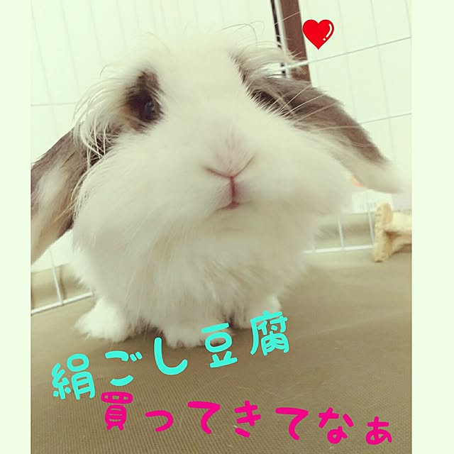 WASABIさんの実例写真