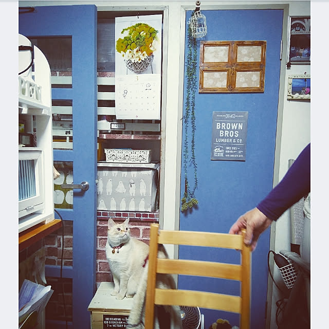 mntcさんの実例写真