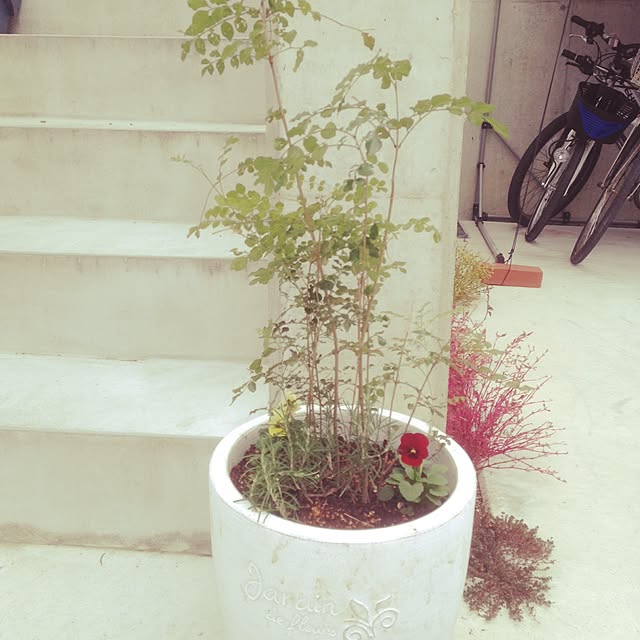 sushitabetai123さんの実例写真