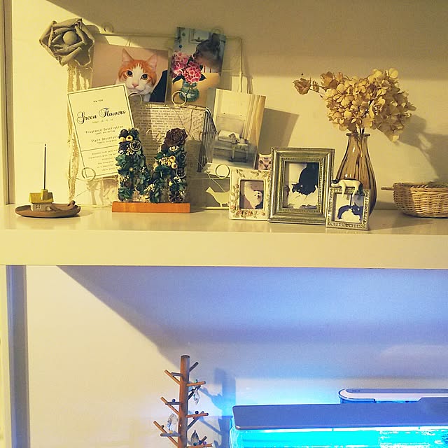 tamacharouさんの実例写真