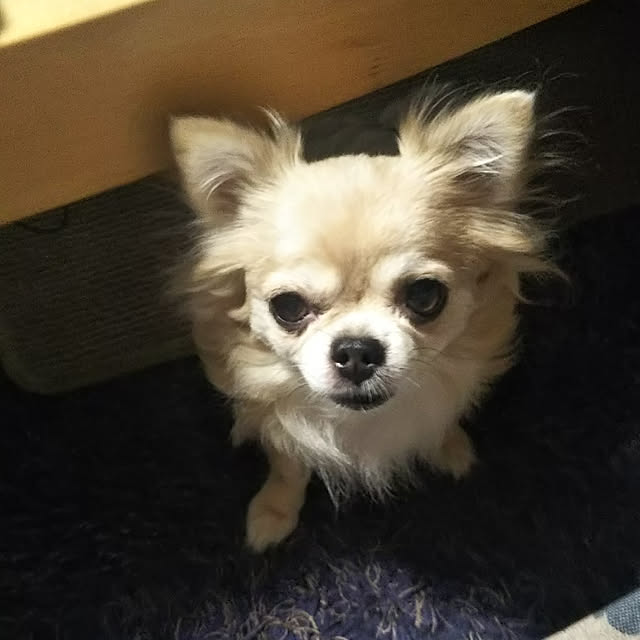 kiraさんの実例写真