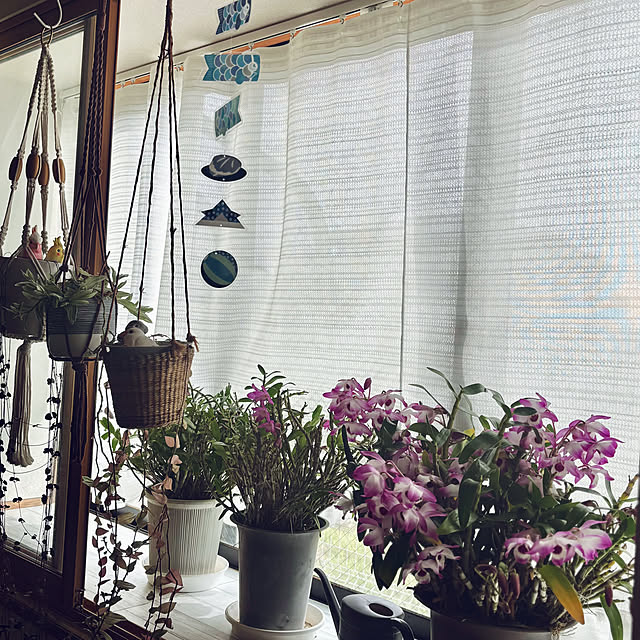 CoCo0617さんの実例写真