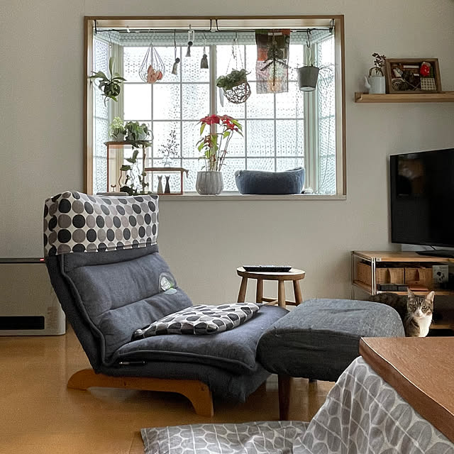 nobikoさんの部屋