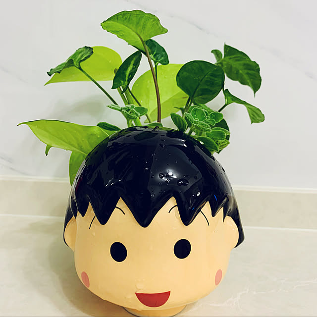 pcu110さんの実例写真