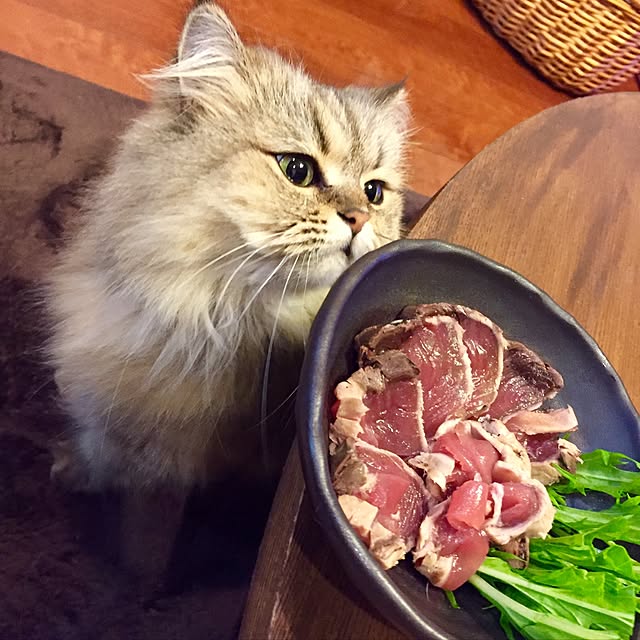 butachanさんの実例写真