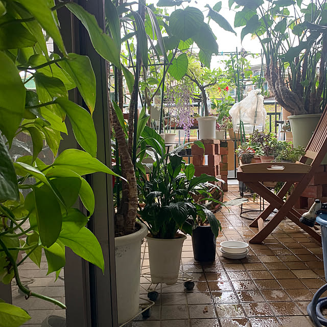 Aqettyさんの部屋
