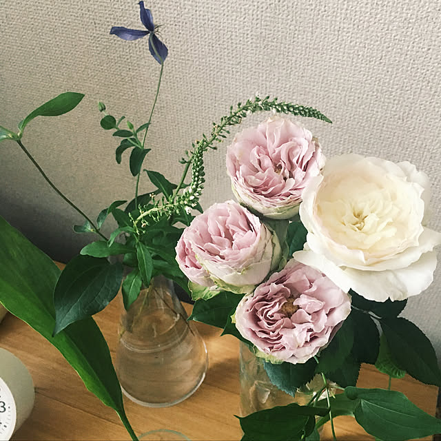 ebiさんの実例写真
