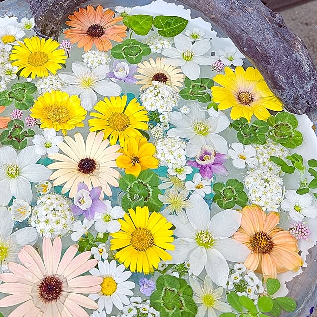 mocomocoさんの部屋