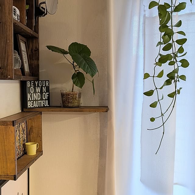 lovepeaceさんの部屋