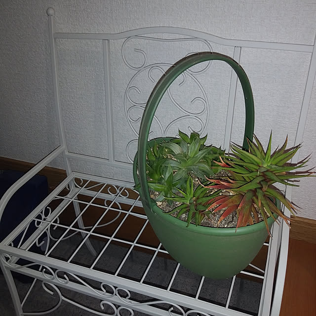 玄関/入り口/プチ贅沢/植物のある暮らし/観葉植物/癒しセットのインテリア実例 - 2021-04-18 22:37:55