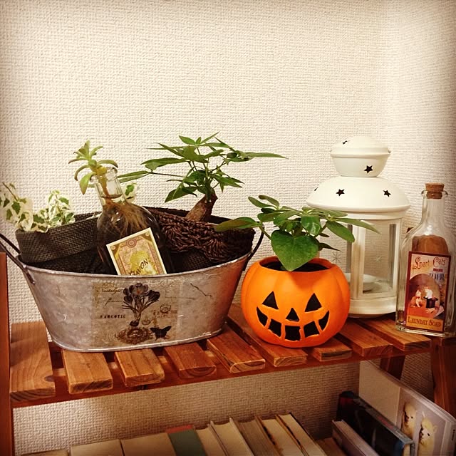 suuさんの実例写真