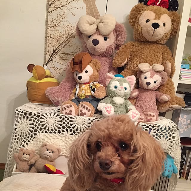yukkoさんの実例写真