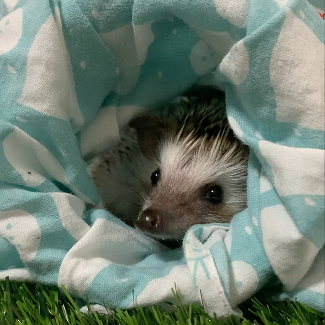 Harryさんの実例写真