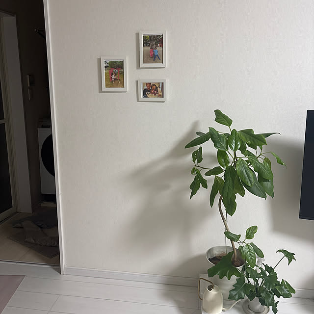 nurakamikanakoさんの実例写真
