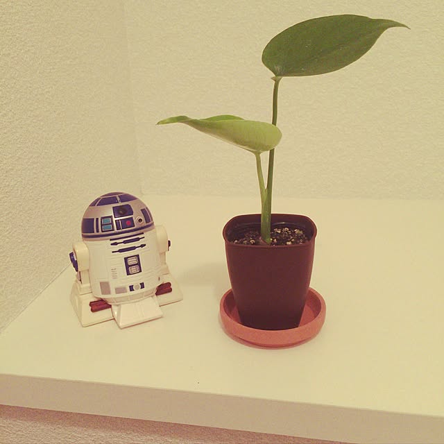 バス/トイレ/スターウォーズ/観葉植物のインテリア実例 - 2016-11-09 16:13:57