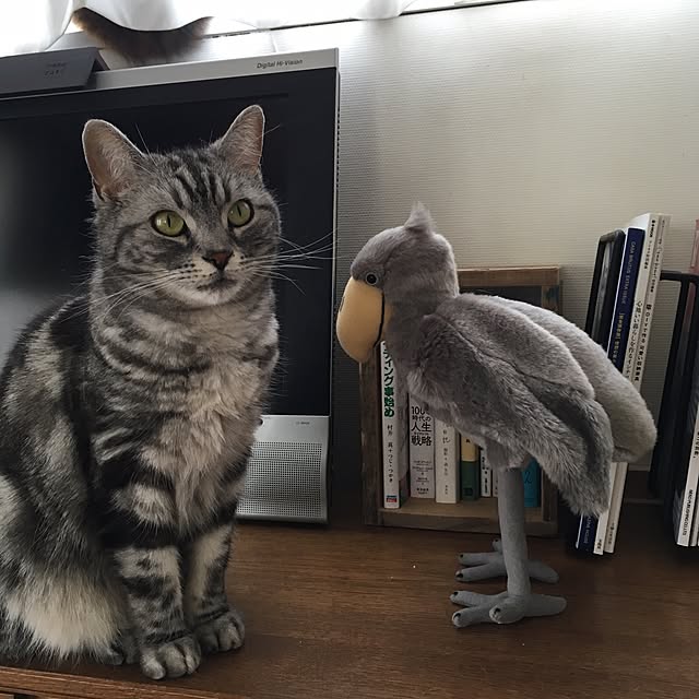 mikomaruさんの実例写真