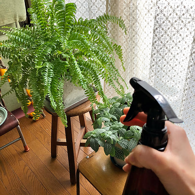 soramameさんの実例写真