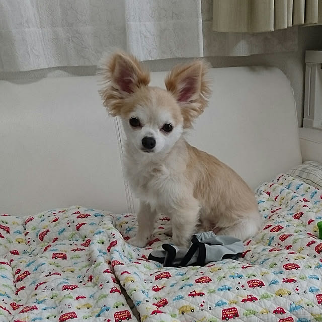 ronさんの実例写真