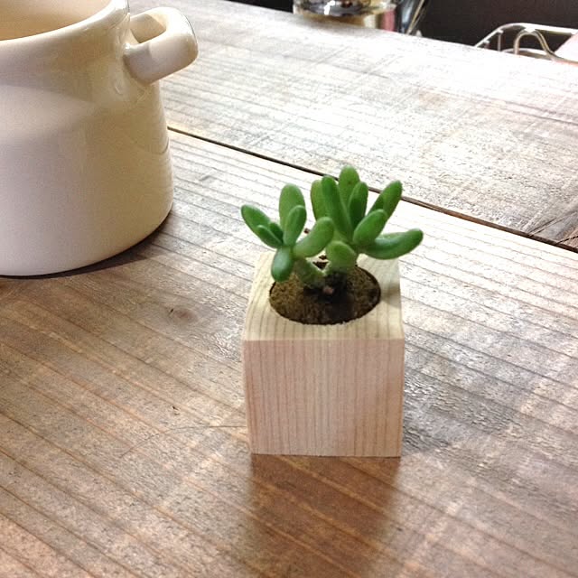 aiさんの実例写真