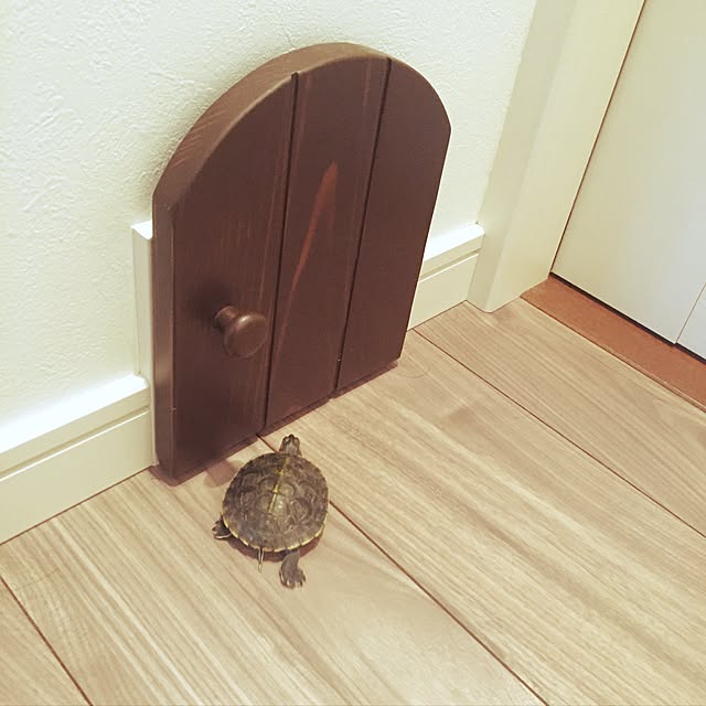riechinさんの実例写真