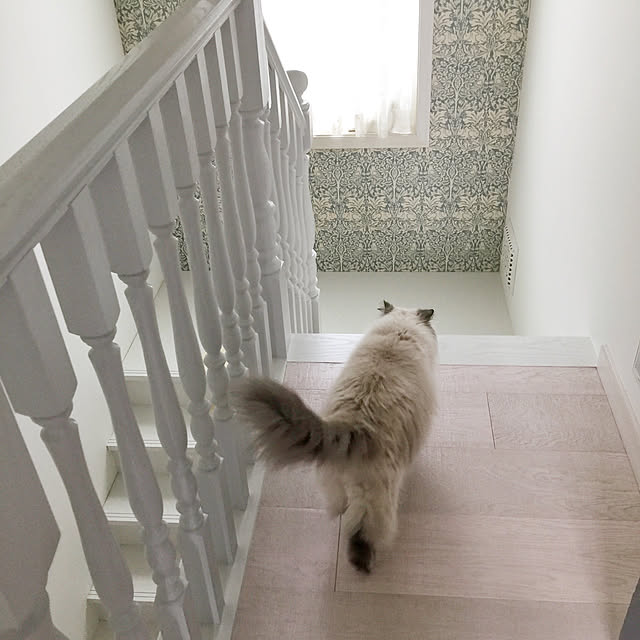 yuchiさんの実例写真