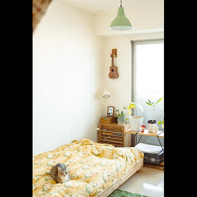 accorinさんの実例写真