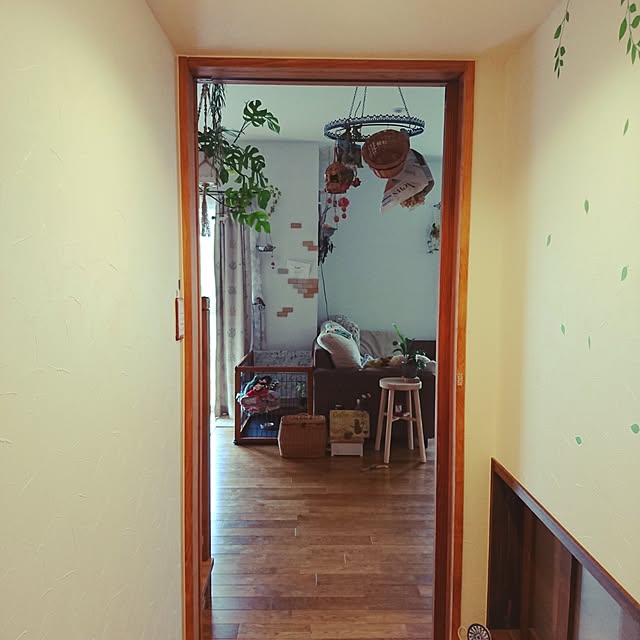 akiさんの実例写真