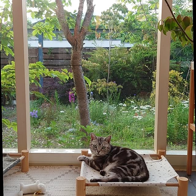asmaさんの部屋