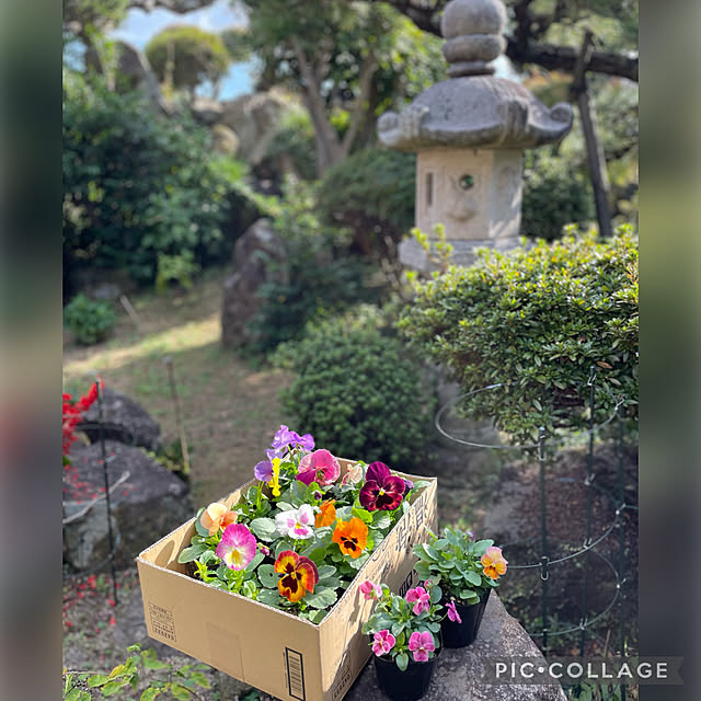 buchiさんの実例写真