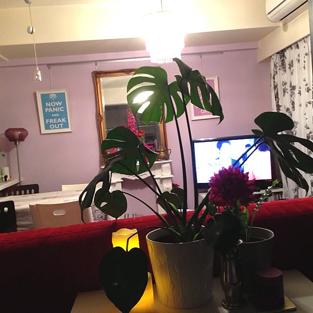 Mari_barcelonaさんの実例写真