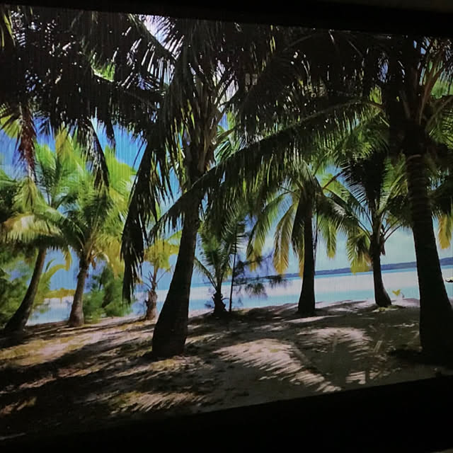 bluecosmosさんの実例写真