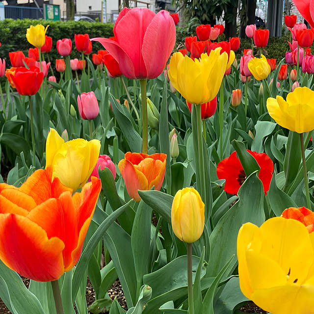 kさんの実例写真