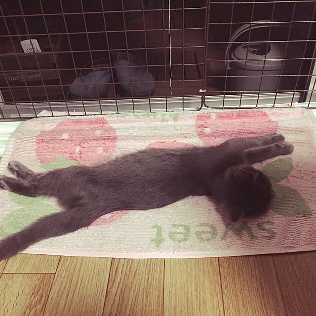 8717さんの実例写真