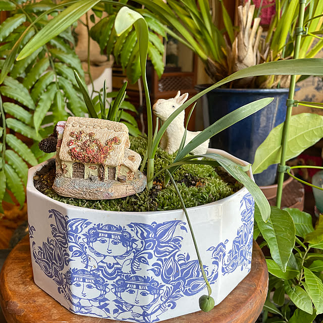 shin0719さんの部屋