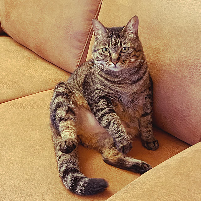 chiiさんの実例写真