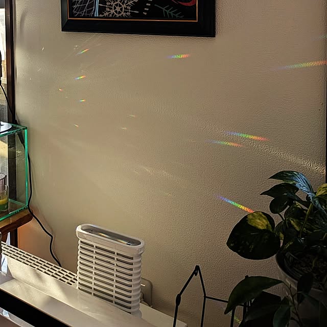 mi-saさんの部屋