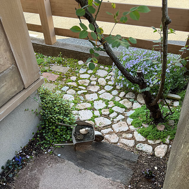 tabasaさんの部屋