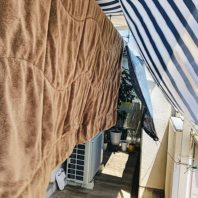 hanachanさんの部屋
