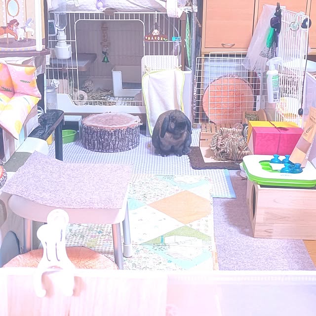 mariaさんの実例写真
