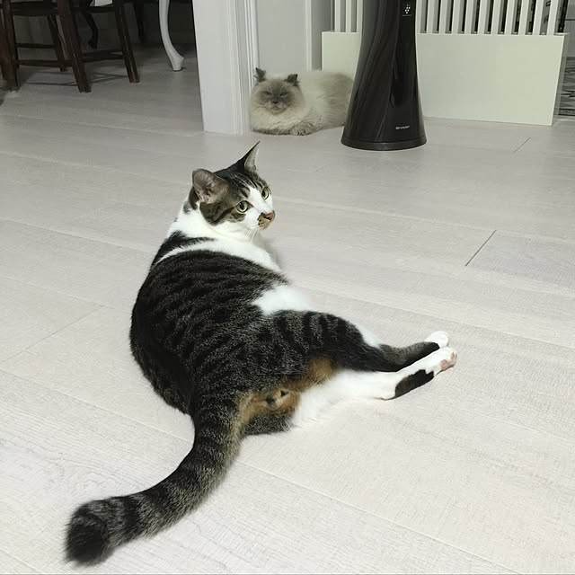 yuchiさんの実例写真