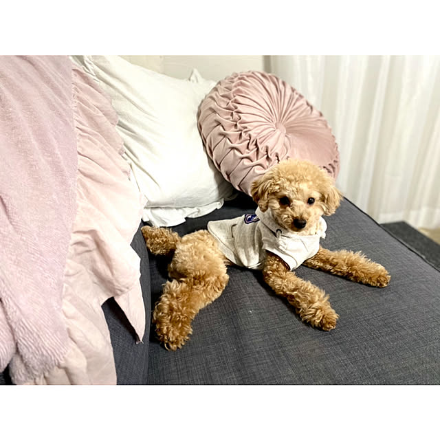 _rm_さんの実例写真