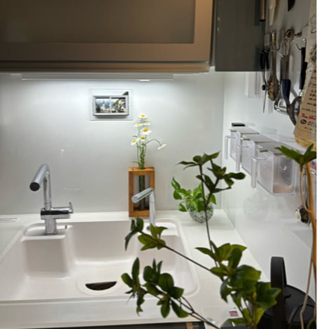 syutmmさんの部屋