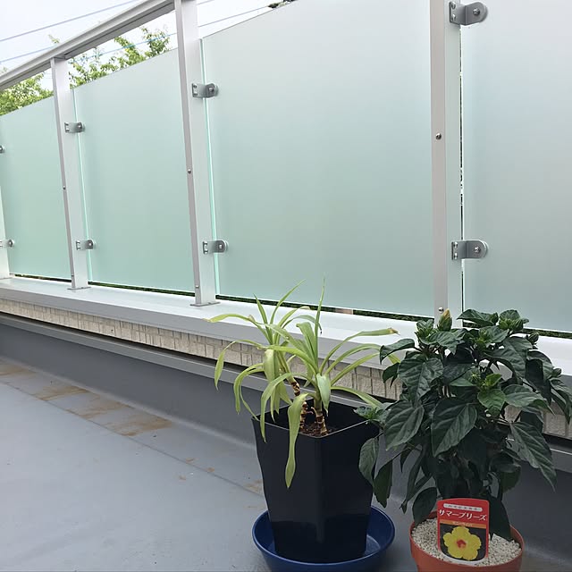 Taekoさんの実例写真
