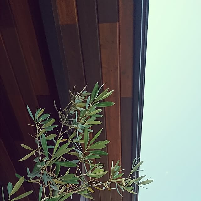 double.idearparkさんの実例写真
