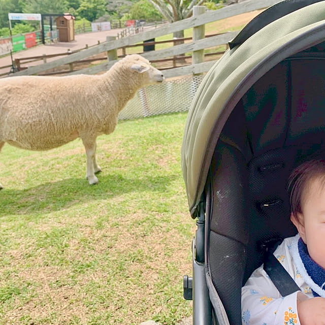 naokoさんの部屋