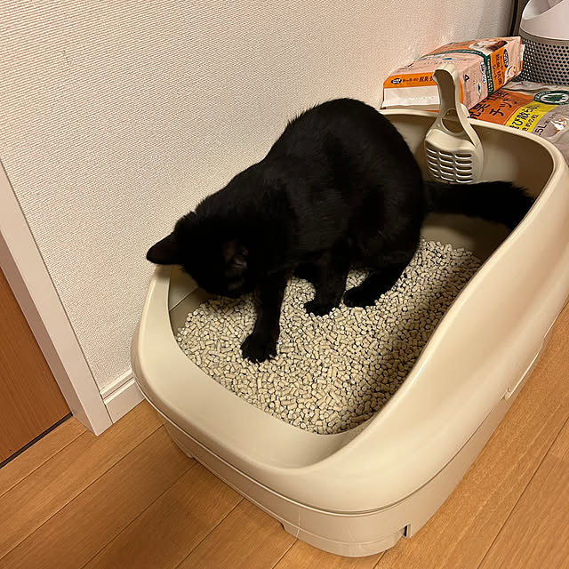 rioさんの実例写真
