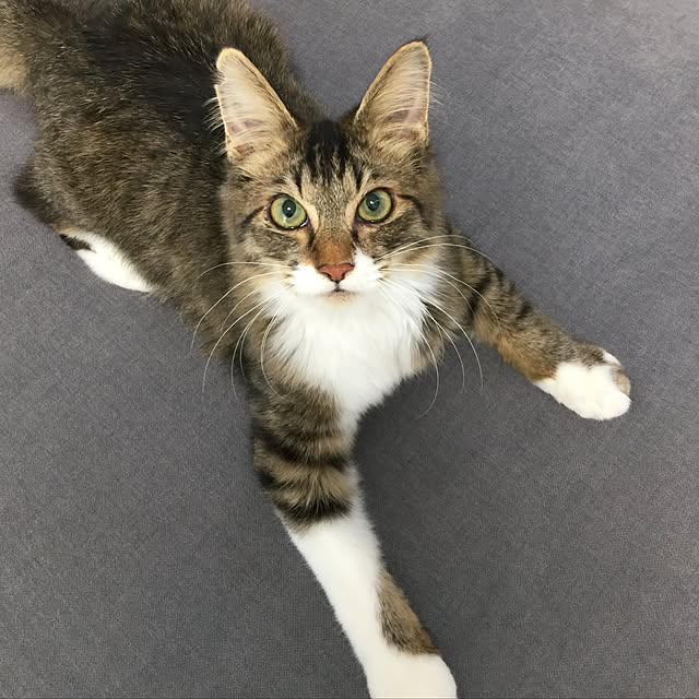 yuchiさんの実例写真
