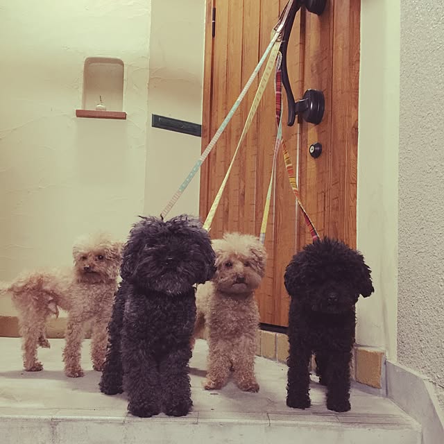 chiiさんの実例写真