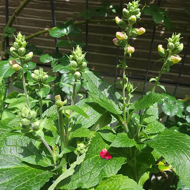 mimi828さんの部屋