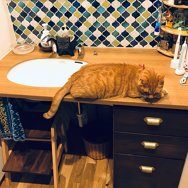 Maruさんの実例写真